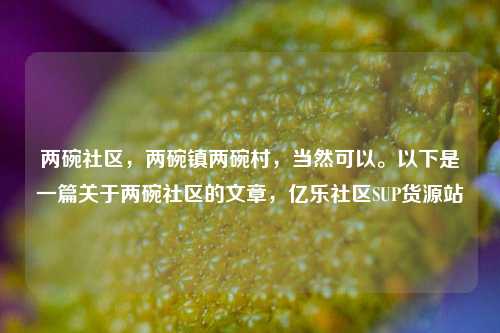 两碗社区，两碗镇两碗村，当然可以。以下是一篇关于两碗社区的文章	，亿乐社区SUP货源站  第1张