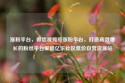 涨粉平台，微信视频号涨粉平台，打造高效增长的粉丝平台策略亿乐社区低价自营货源站  第1张